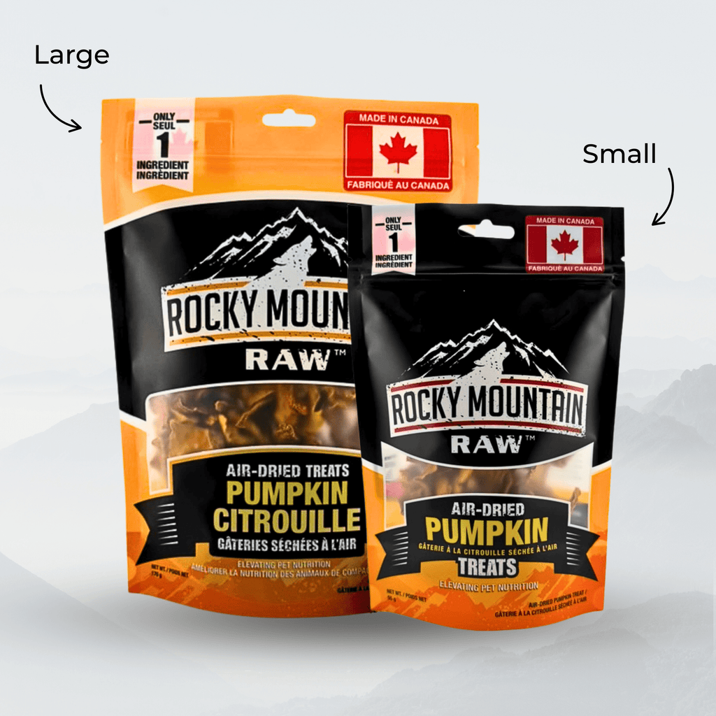 Air Dried Pumpkin Treats - Modern Hustle Marketplace