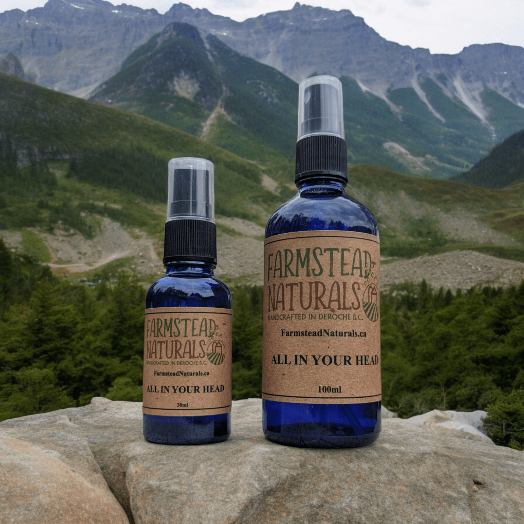 All In Your Head - Essential oil Spray - Farmstead Naturals: 100mL - Modern Hustle Marketplace
