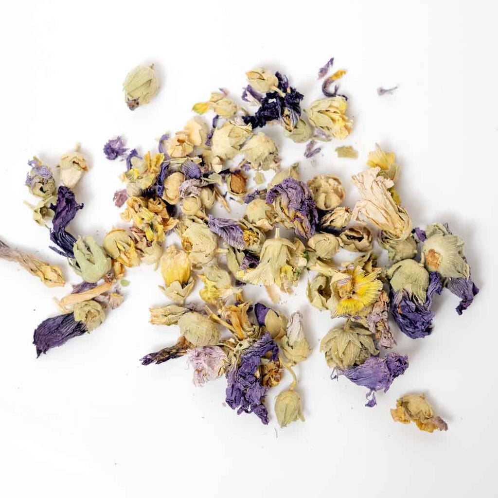 Althaea Officinalis Marshmallow Flowers - Modern Hustle Marketplace