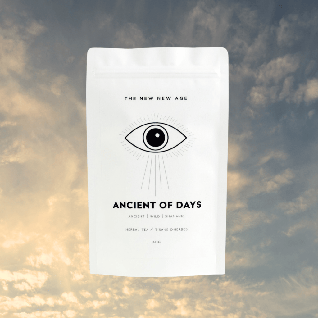 ANCIENT OF DAYS // adaptogenic black tea - Modern Hustle Marketplace