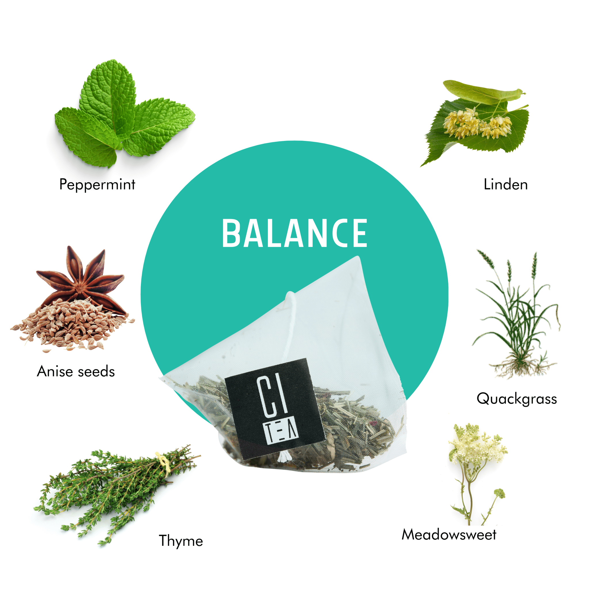 Balance Herbal Tea Pyramid Tea Bags - Modern Hustle Marketplace