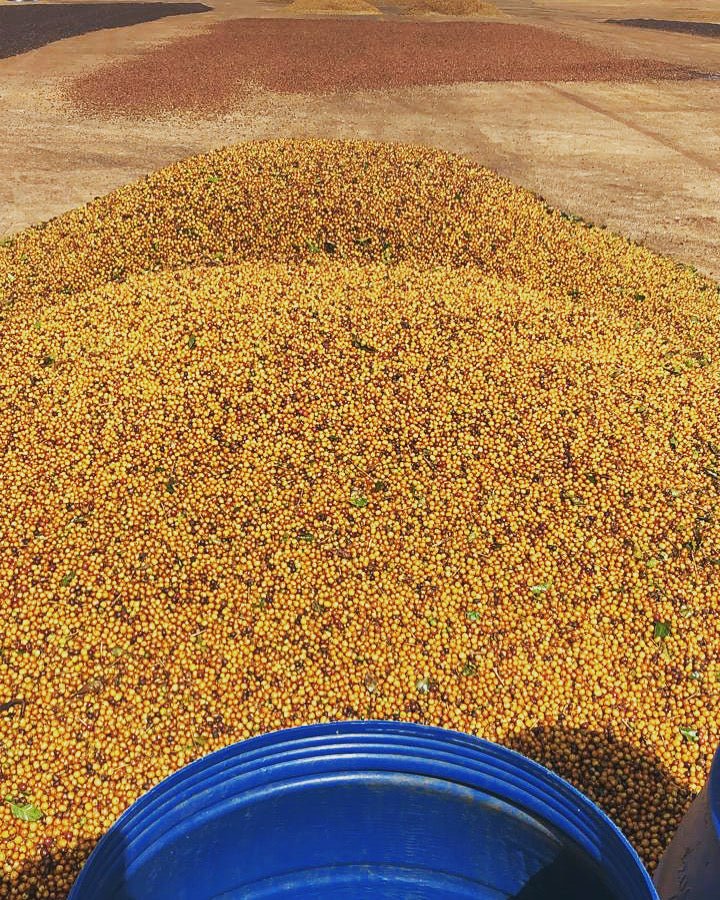 Barbosa Family - Modern Hustle Marketplace