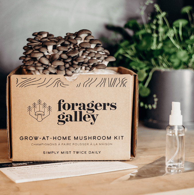 Blue Oyster - Modern Hustle Marketplace