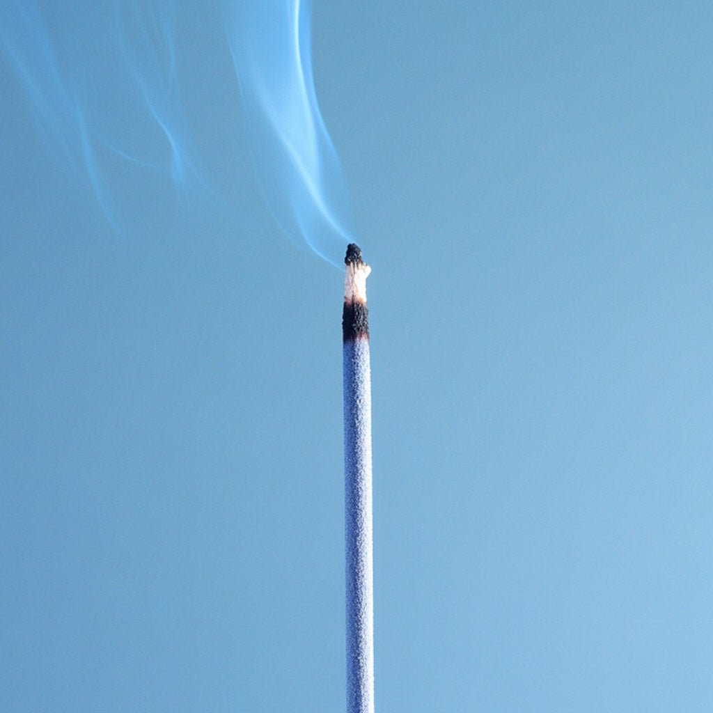 Burn Away the BS Incense - Modern Hustle Marketplace