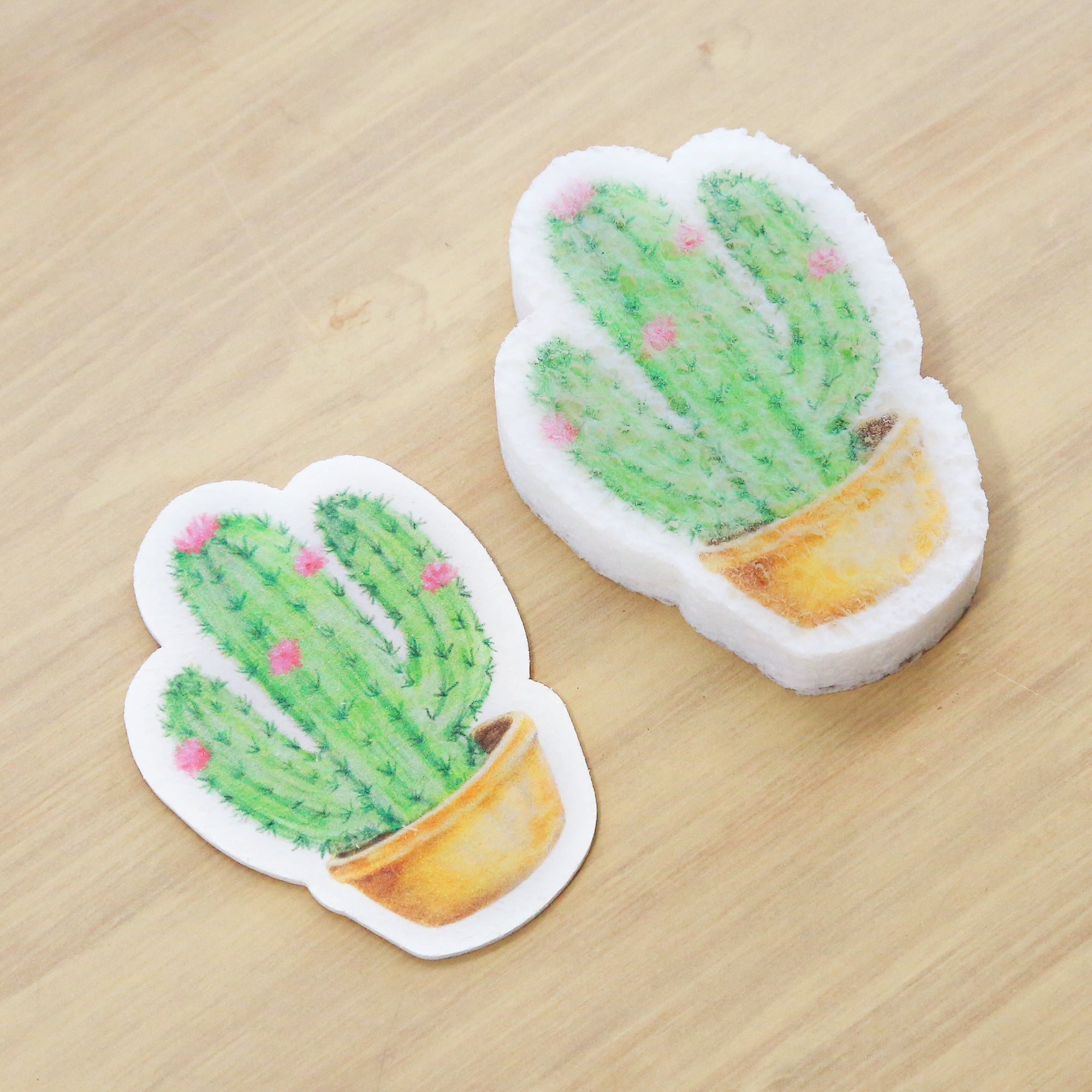 Cactus Pop Up Sponge - Modern Hustle Marketplace