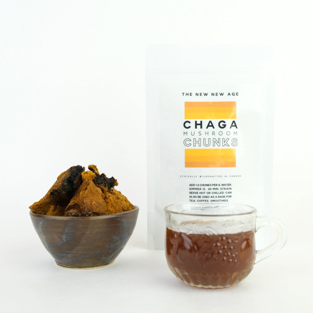 CHAGA MUSHROOM CHUNKS - Modern Hustle Marketplace