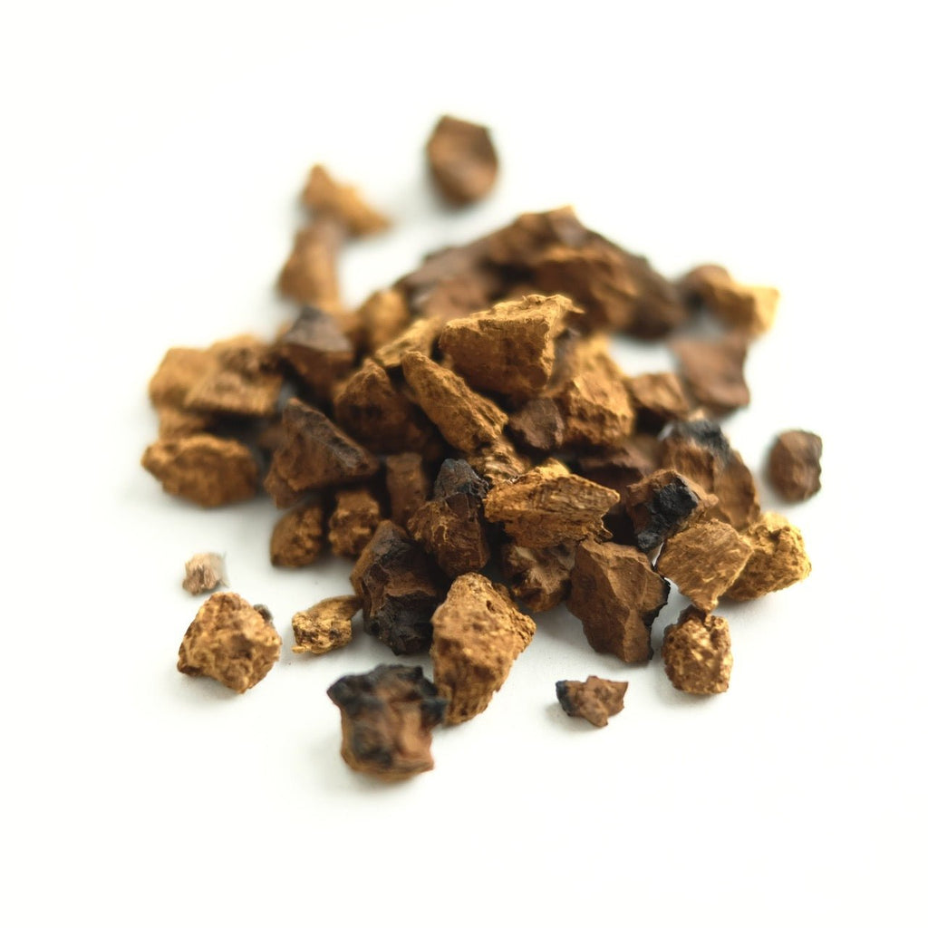 CHAGA MUSHROOM CHUNKS - Modern Hustle Marketplace