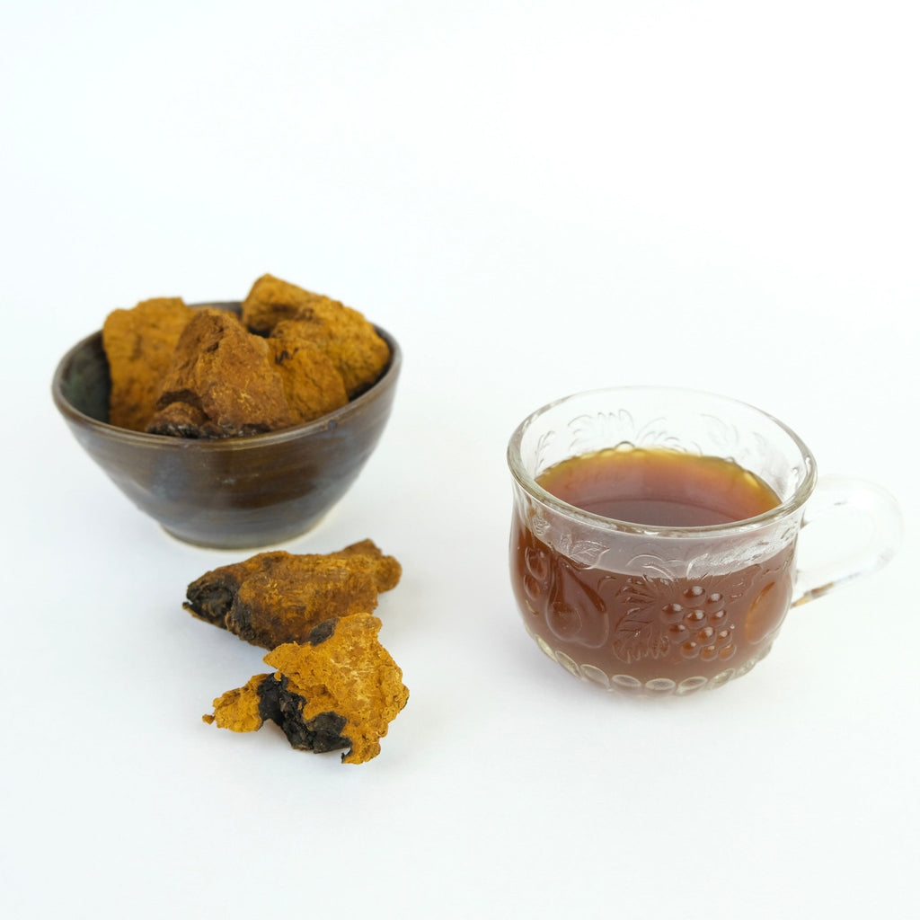 CHAGA MUSHROOM CHUNKS - Modern Hustle Marketplace