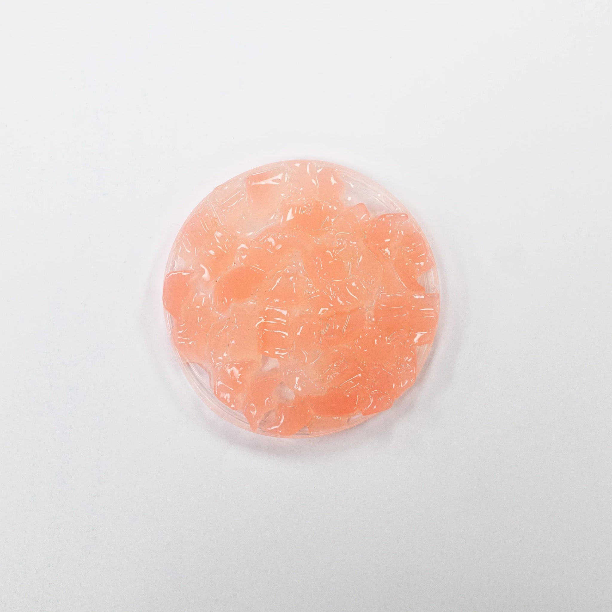 Crown Lemon Coconut Jelly | Multi - Use | Bubble Tea Topping | Ice Cream Topping | Foodservice Canada - Modern Hustle Marketplace