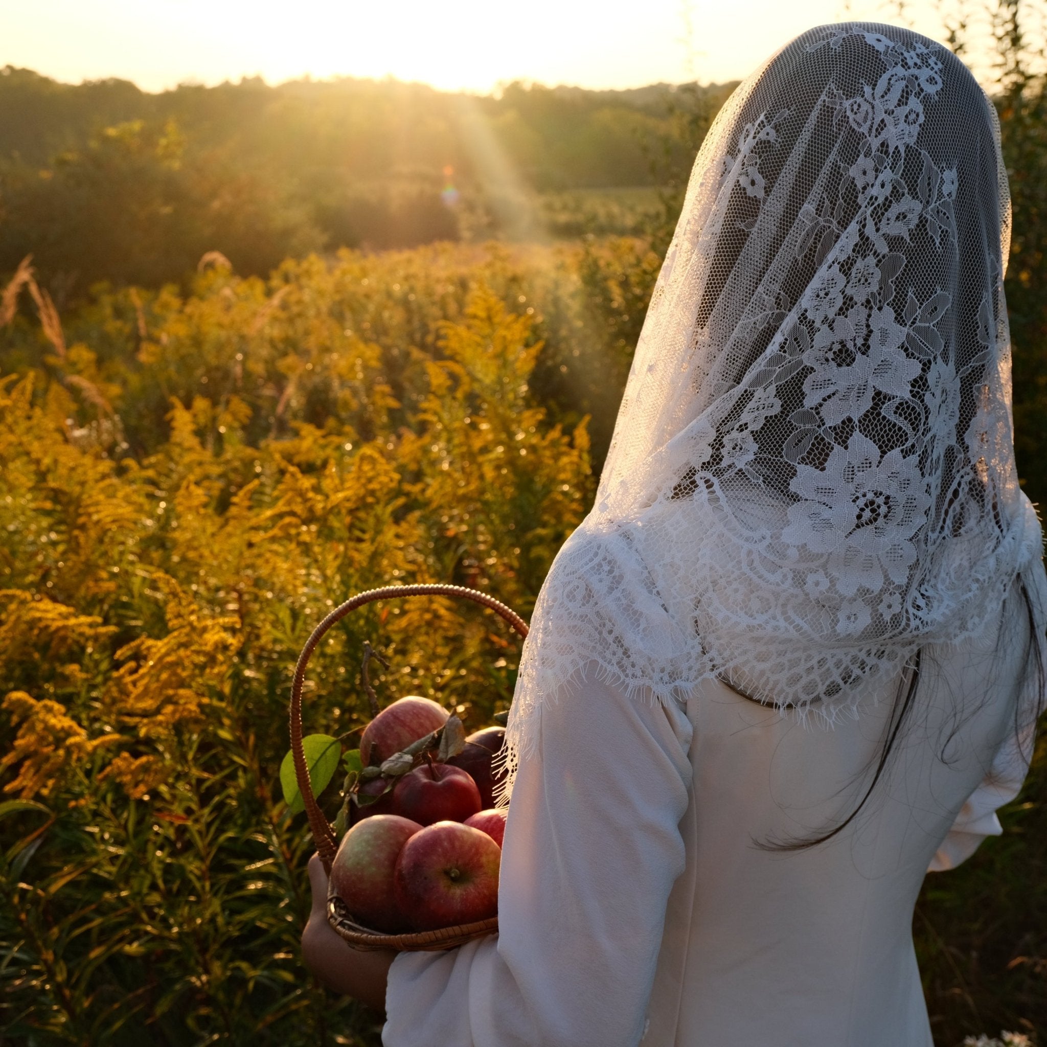 EARTH APPLE // chamomile elderberry tea - Modern Hustle Marketplace