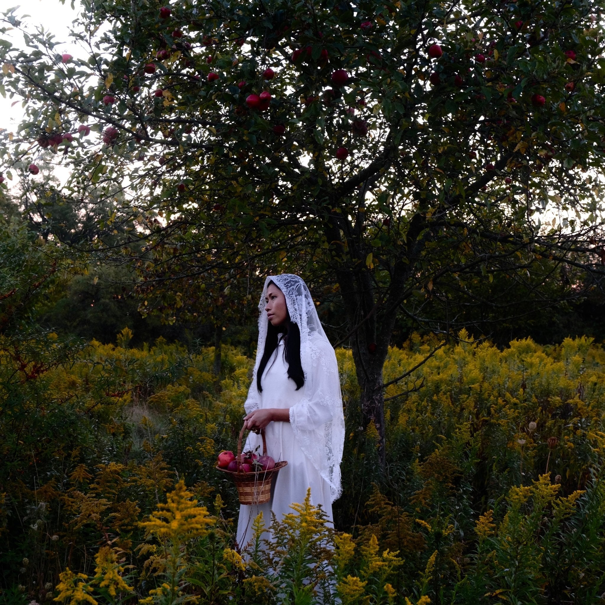 EARTH APPLE // chamomile elderberry tea - Modern Hustle Marketplace