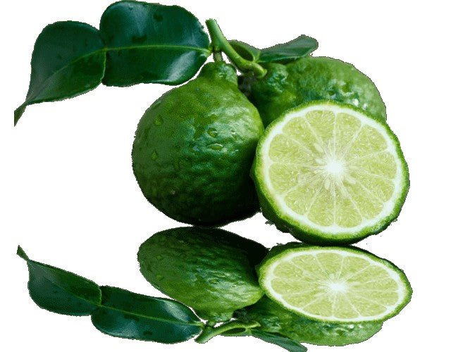 Essential Oil - Bergamot (Citrus Bergamia) - Modern Hustle Marketplace