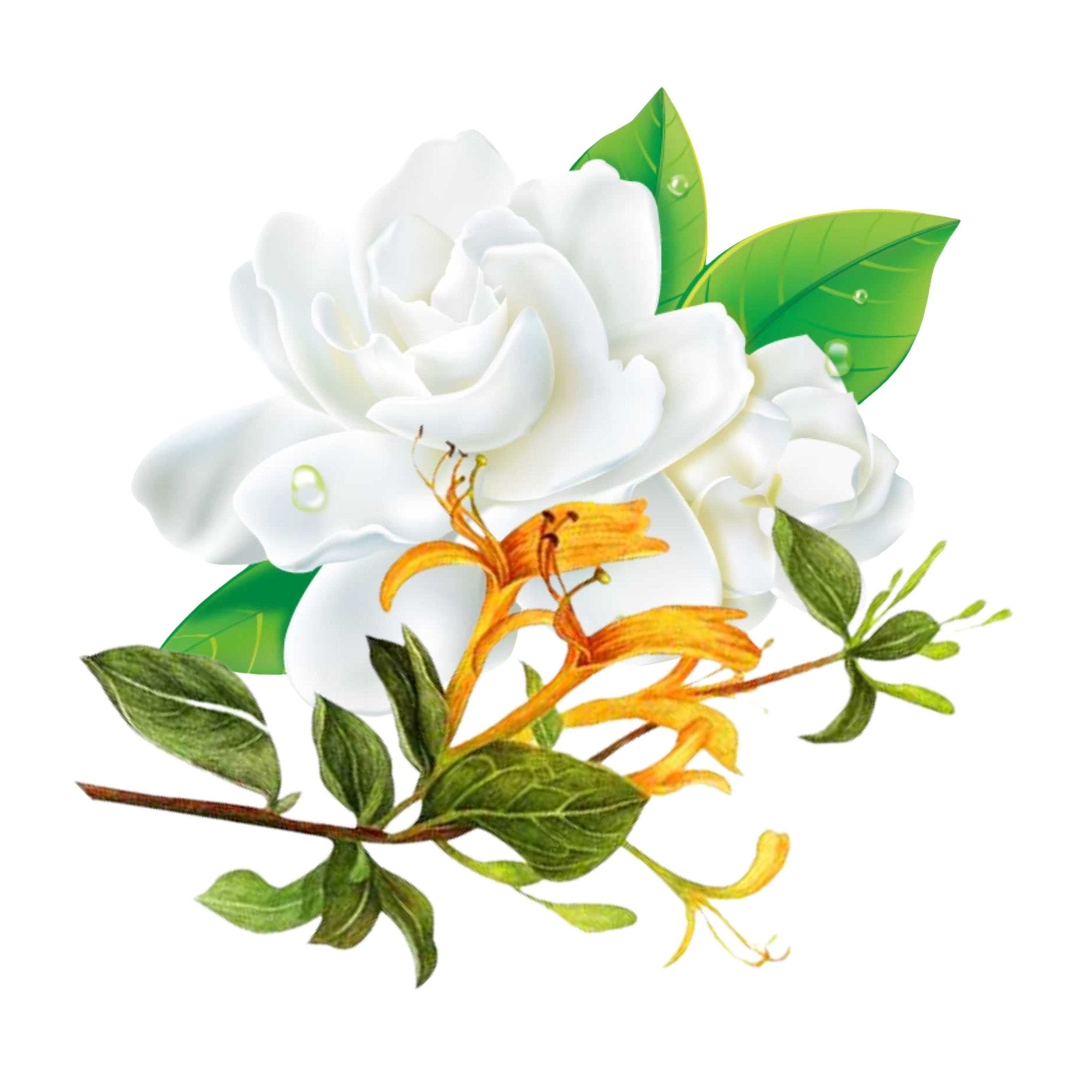 Essential Oil - Blend - Honeysuckle & Jasmine - Modern Hustle Marketplace