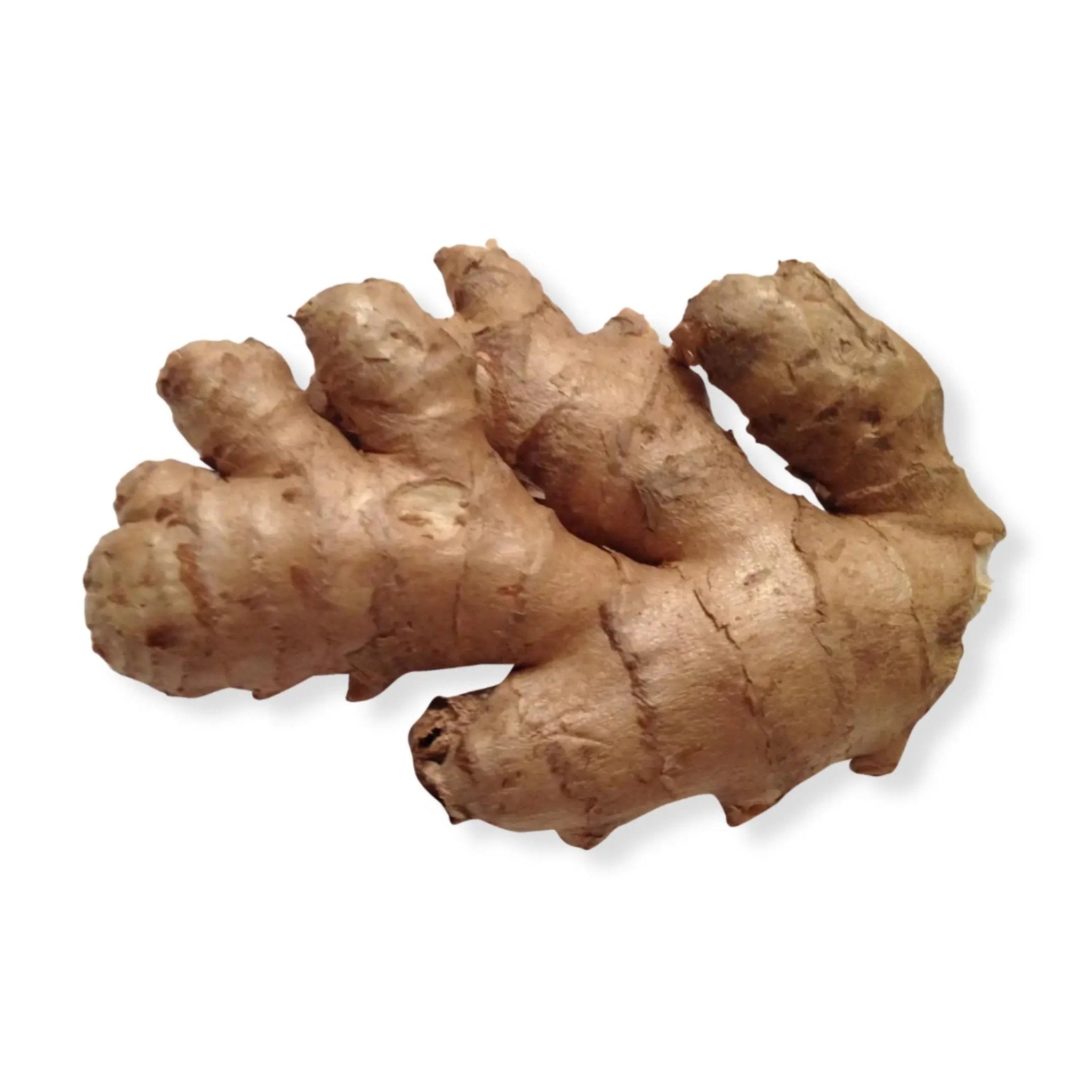 Essential Oil - Ginger (Zingiber Officinale) - Modern Hustle Marketplace