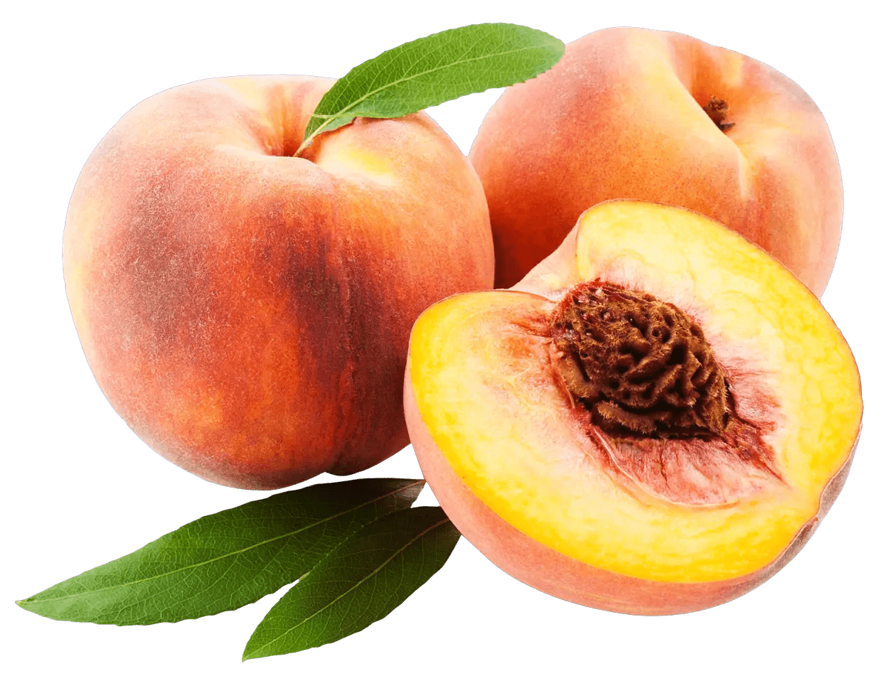 Essential Oil - Peach (Prunus Persica) - Modern Hustle Marketplace