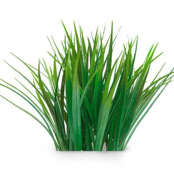 Essential Oil - Vetiver (Vetiveria Zizanoides) - Modern Hustle Marketplace