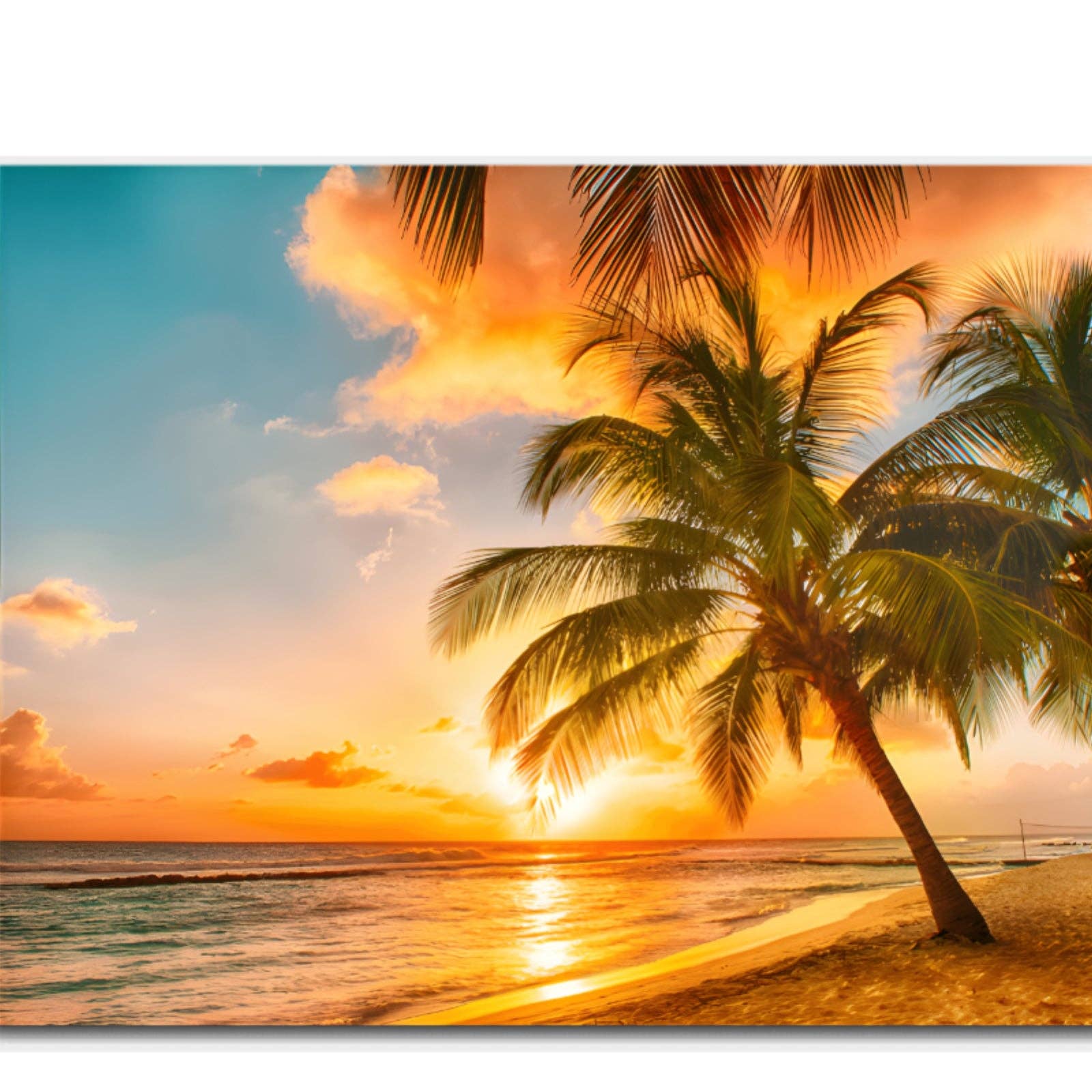 Fragrance Oil - Bahama Vacation: 500 ml - Modern Hustle Marketplace