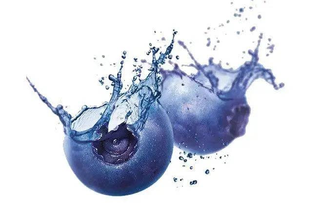 Fragrance Oil - Blueberries Splash: 500 ml - Modern Hustle Marketplace