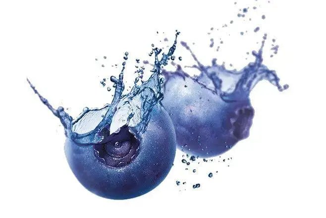Fragrance Oil - Blueberries Splash - Modern Hustle Marketplace