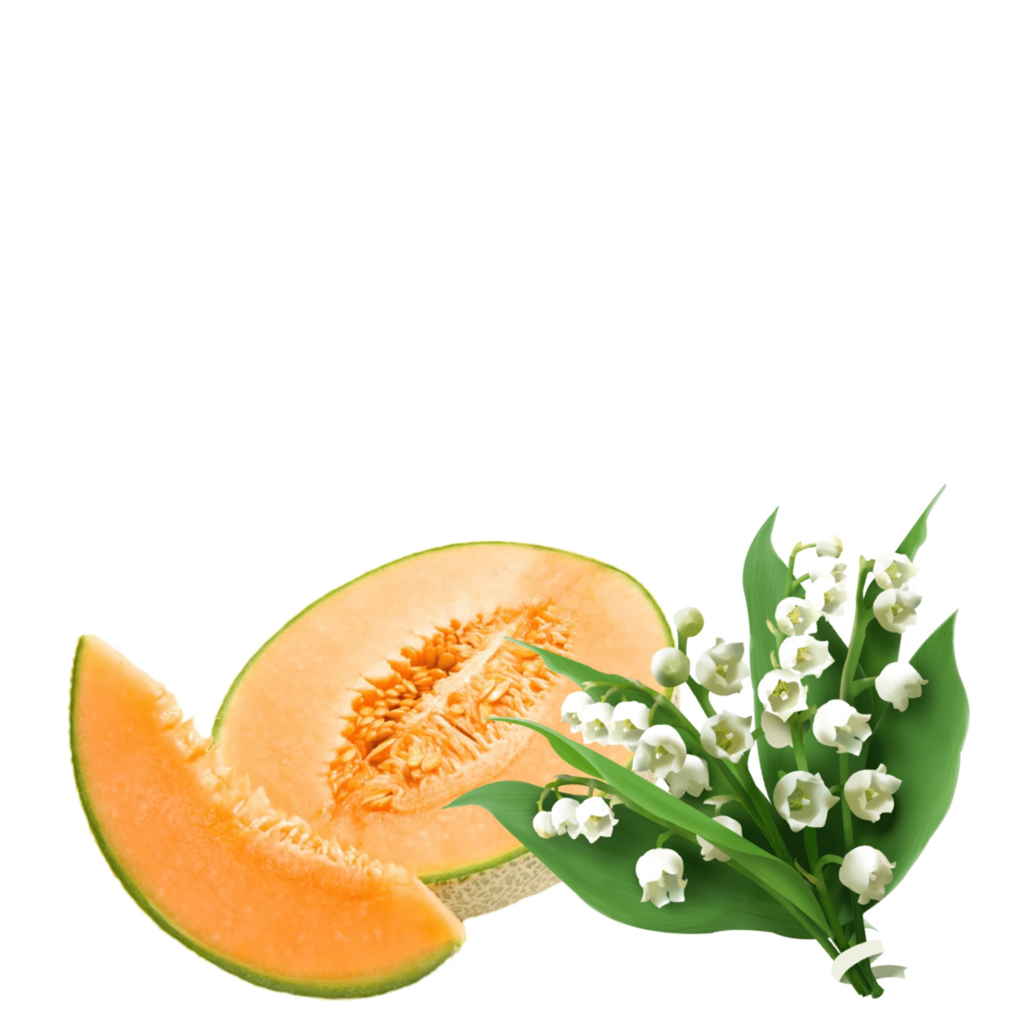 Fragrance Oil - Cantaloupe & Lily: 118 ml - Modern Hustle Marketplace