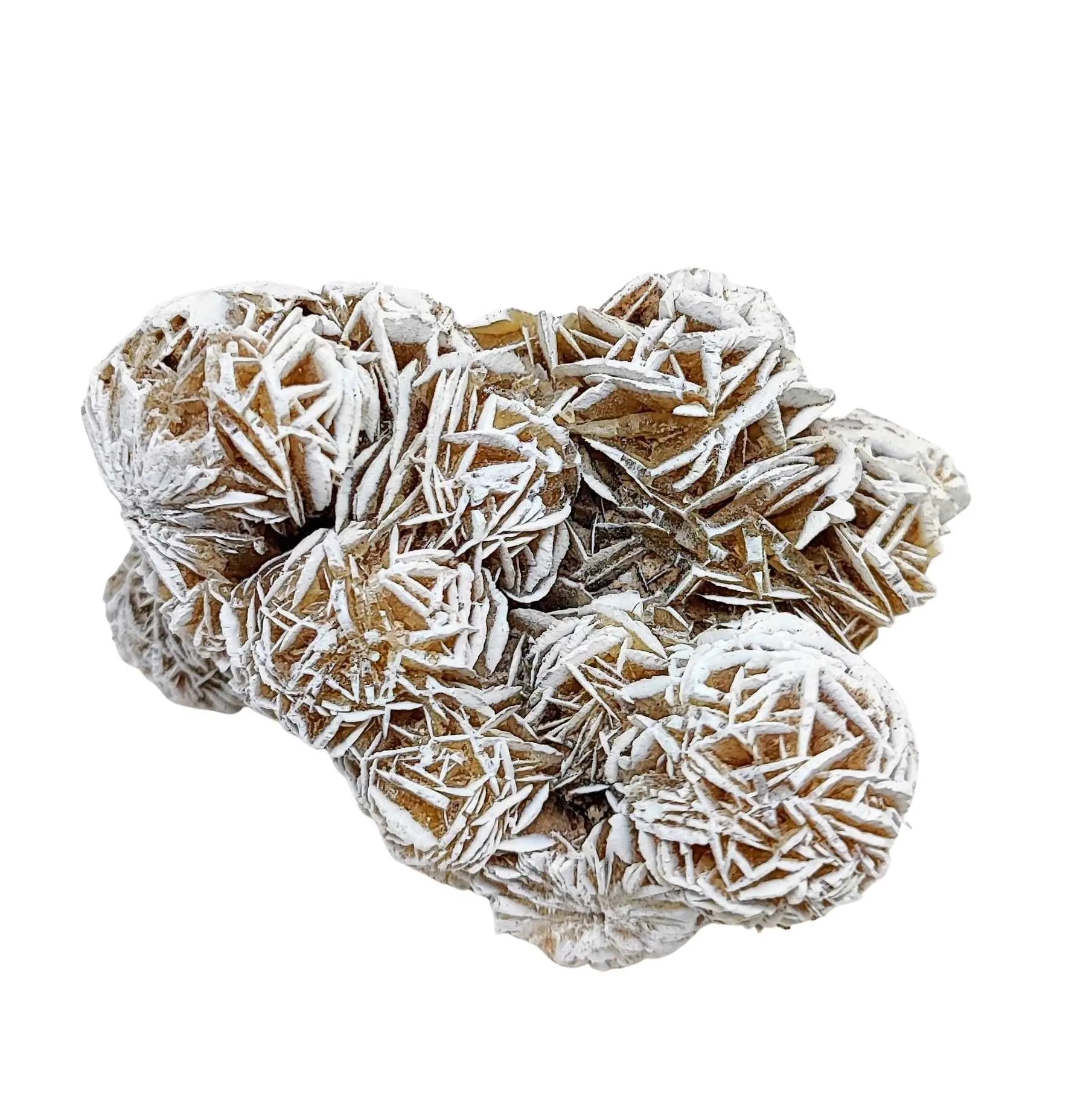 Fragrance Oil - Desert Rose - Modern Hustle Marketplace