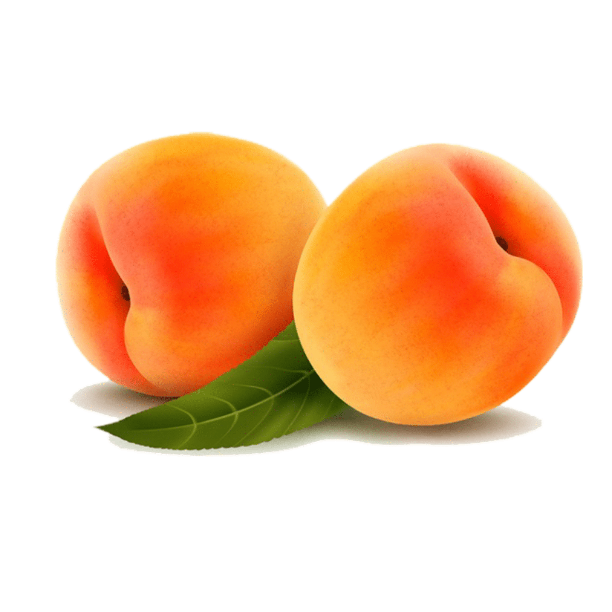 Fragrance Oil - Fresh Peachs - Modern Hustle Marketplace