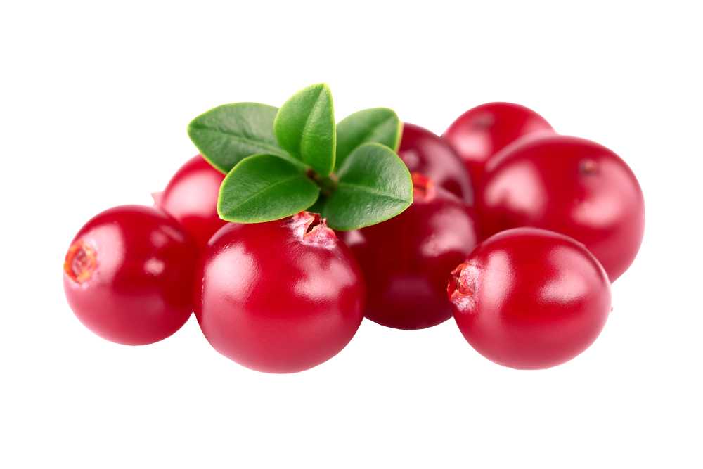 Fragrance Oil - Frosted Cranberry - Modern Hustle Marketplace