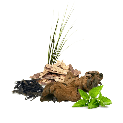 Fragrance Oil - Musk - Modern Hustle Marketplace