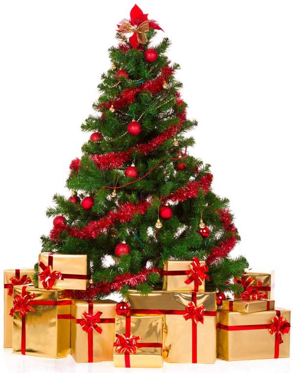 Fragrance Oil - Old Fashioned Christmas - Modern Hustle Marketplace