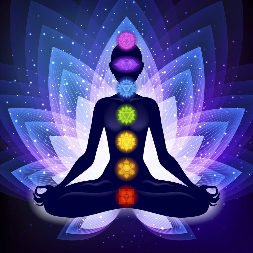 Fragrance Oil - Premium Collection - 7 Chakras - Modern Hustle Marketplace