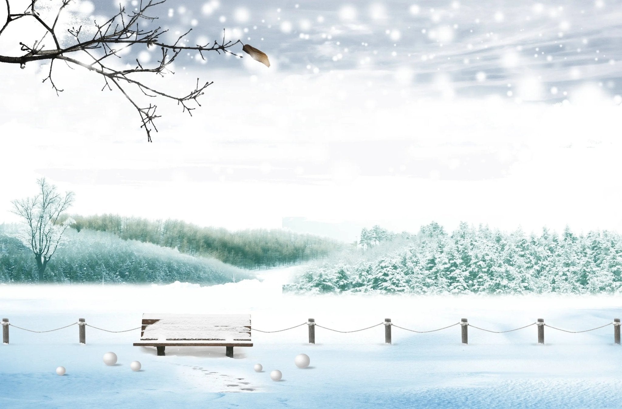 Fragrance Oil - Premium Collection - Winter Hideaway - Modern Hustle Marketplace