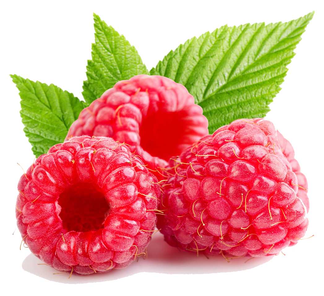 Fragrance Oil - Raspberry - Modern Hustle Marketplace