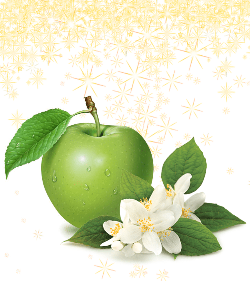 Fragrance Oil - Sparkling Clean - Modern Hustle Marketplace