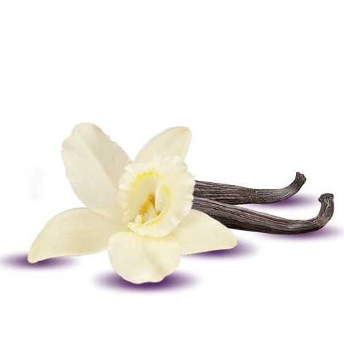 Fragrance Oil - Vanilla (Non - Darkening for Candles) - Modern Hustle Marketplace