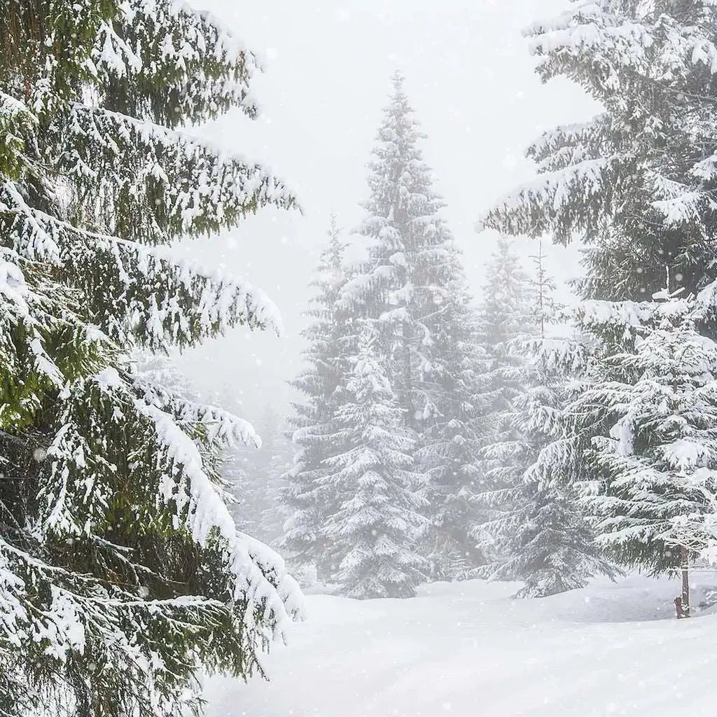 Fragrance Oil - Winter Storm - Modern Hustle Marketplace