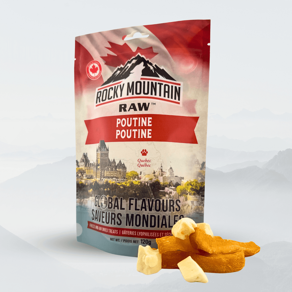 Global Flavours: Canadian Poutine - Modern Hustle Marketplace