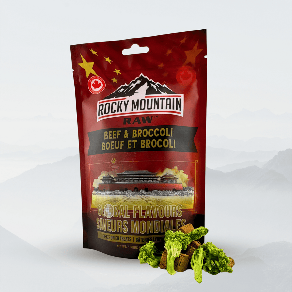 Global Flavours - Chinese Beef and Broccoli - Modern Hustle Marketplace