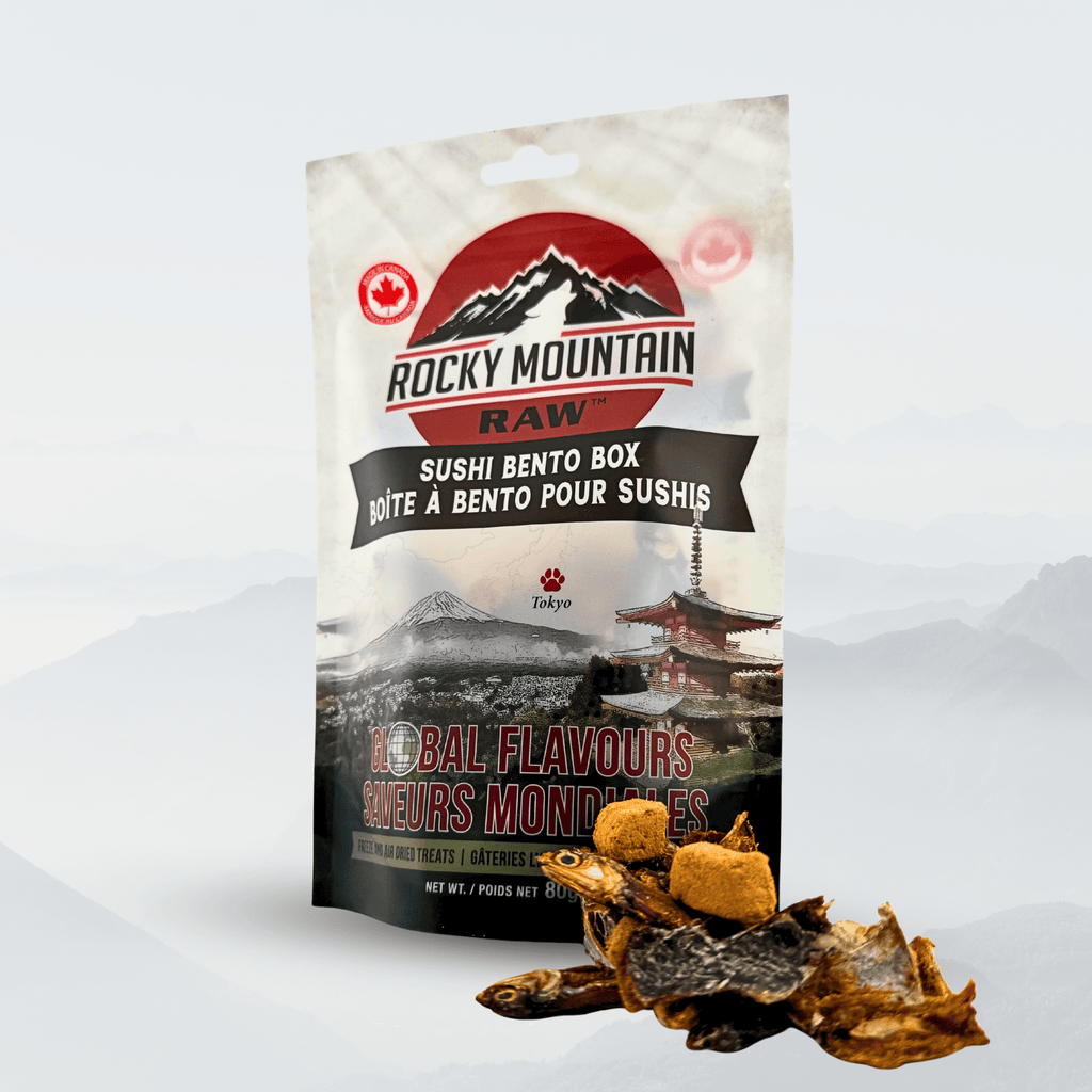 Global Flavours - Japanese Bento Box - Modern Hustle Marketplace