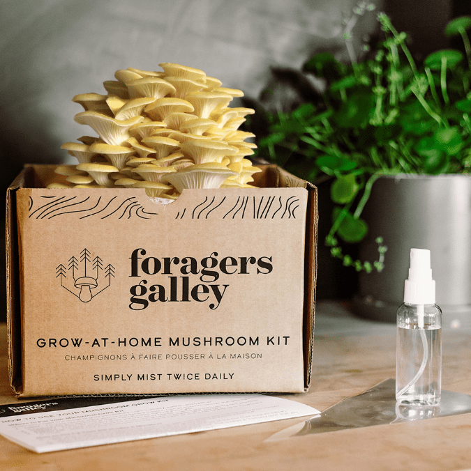 Golden Oyster - Modern Hustle Marketplace