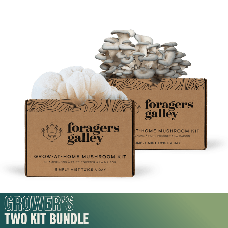 Grower's Starter Bundle - Two Kits - Modern Hustle Marketplace