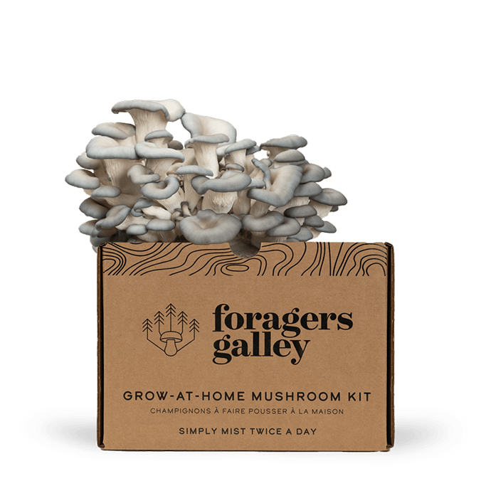 Grower's Starter Bundle - Two Kits - Modern Hustle Marketplace