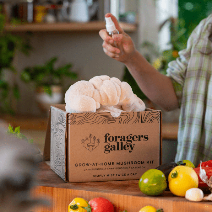 Grower's Starter Bundle - Two Kits - Modern Hustle Marketplace