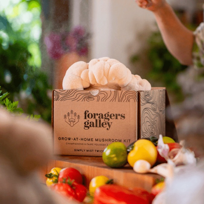 Grower's Starter Bundle - Two Kits - Modern Hustle Marketplace