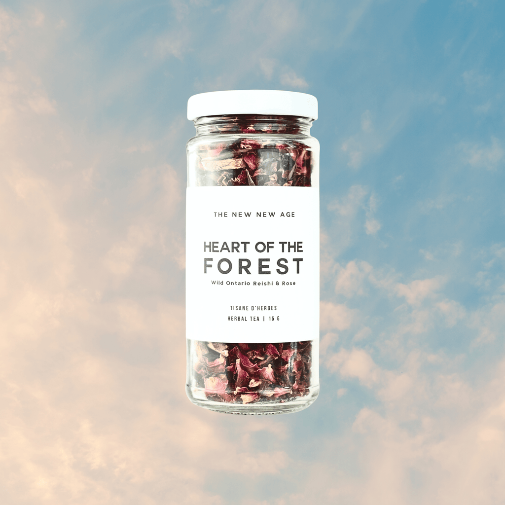 HEART OF THE FOREST // Reishi + Rose tonic - Modern Hustle Marketplace
