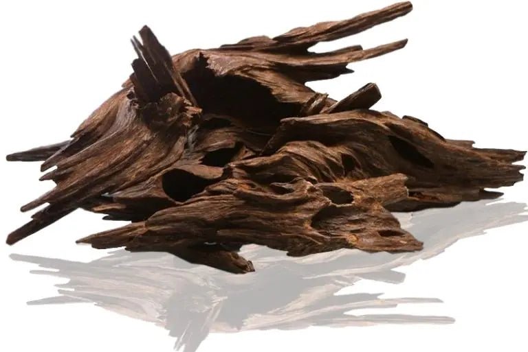 Incense Sticks - Agarwood - Pack of 10 - Modern Hustle Marketplace