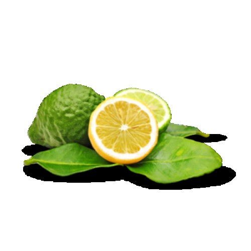 Incense Sticks - Bergamot - Pack of 10 - Modern Hustle Marketplace