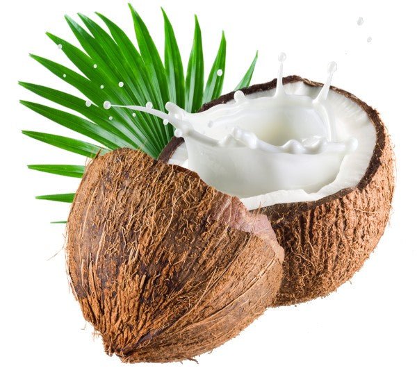 Incense Sticks - Coconut - Pack of 10 - Modern Hustle Marketplace