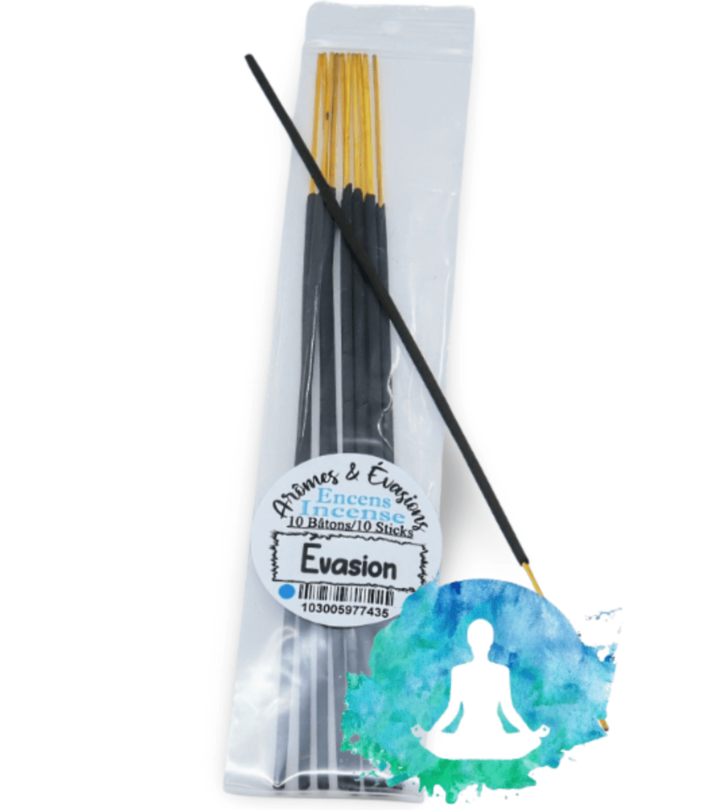 Incense Sticks - Evasion - Pack of 10 - Modern Hustle Marketplace