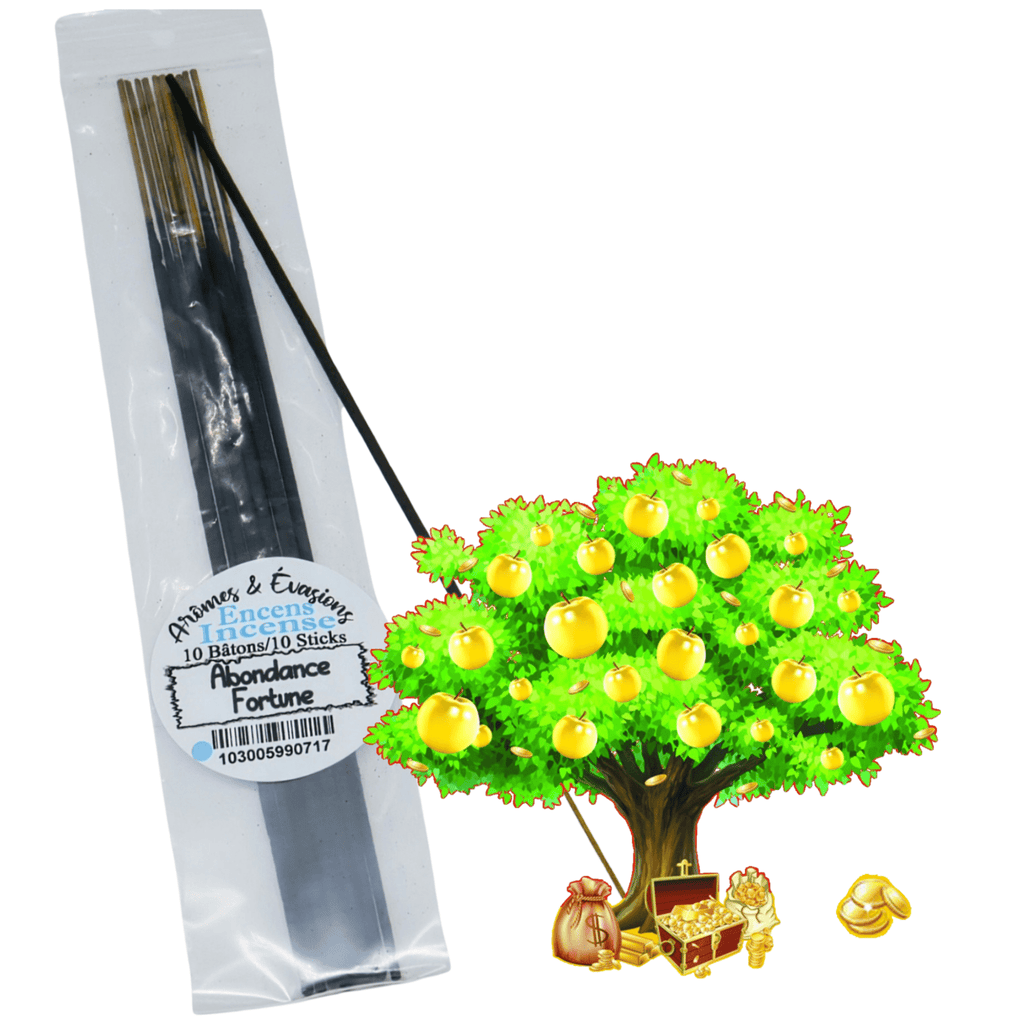 Incense Sticks - Fortune - Pack of 10 - Modern Hustle Marketplace