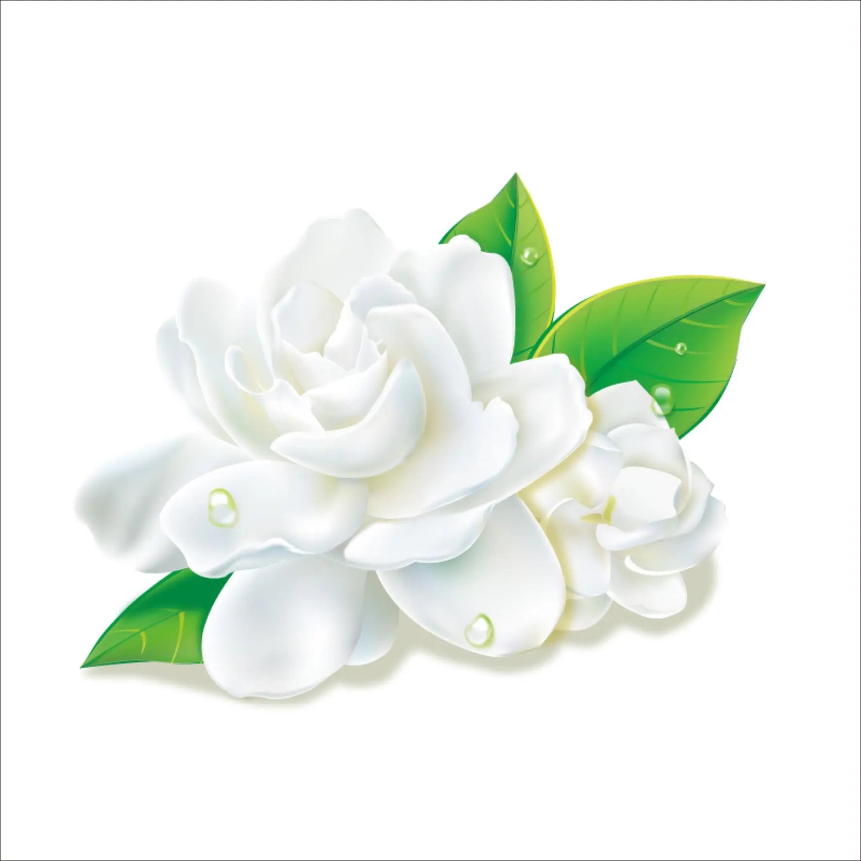 Incense Sticks - Jasmine - Pack of 10 - Modern Hustle Marketplace